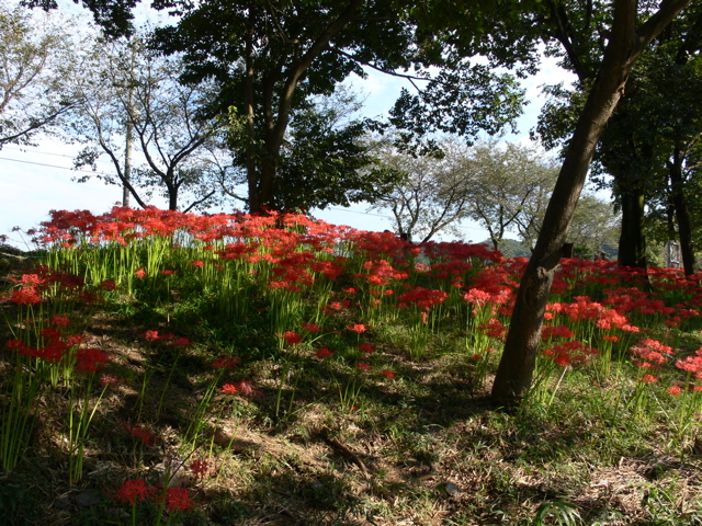 P1000008.JPG
