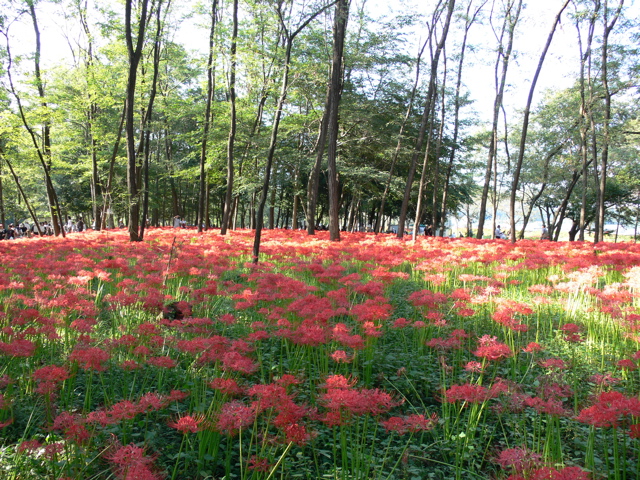 P1000017.JPG