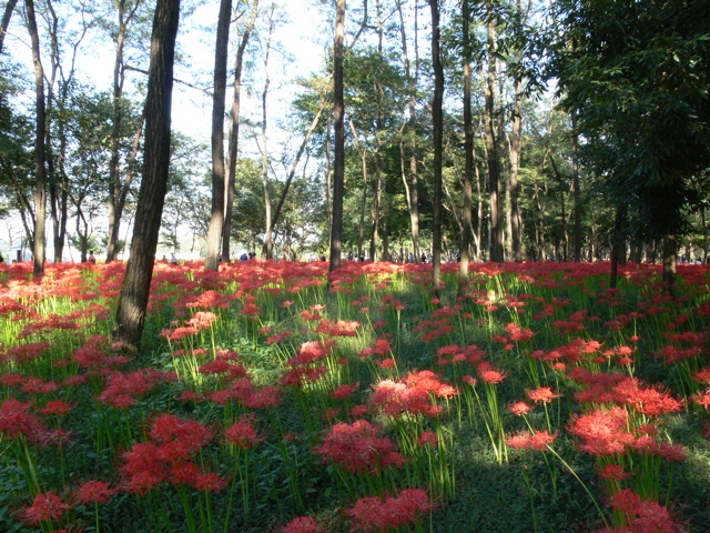 P1000020.JPG