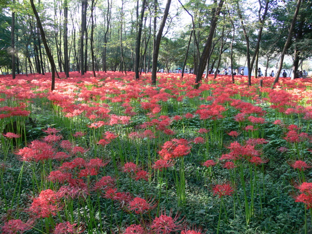 P1000022.JPG