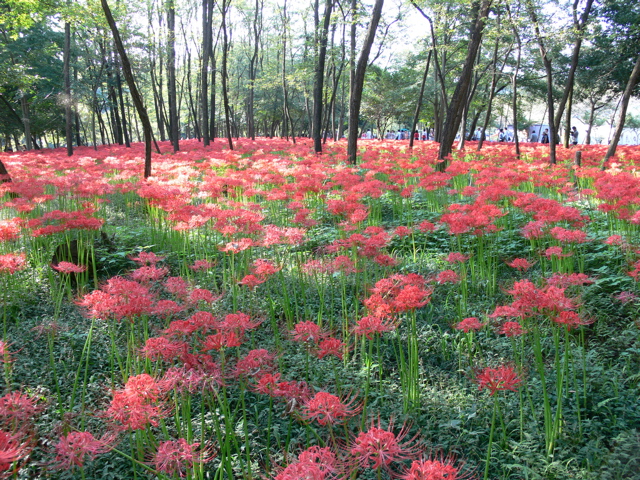 P1000023.JPG