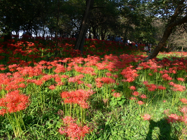 P1000026.JPG