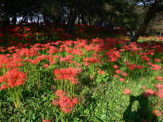 P1000028.JPG