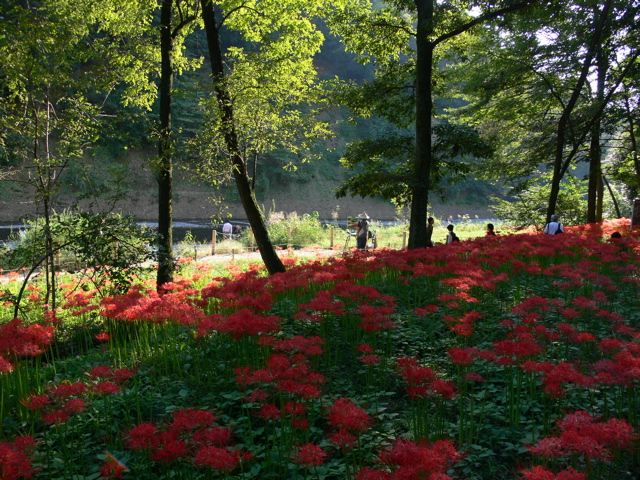 P1000029.JPG