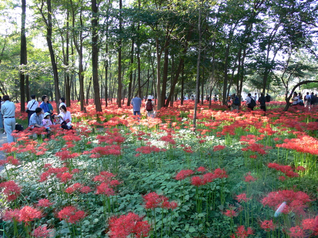 P1000032.JPG