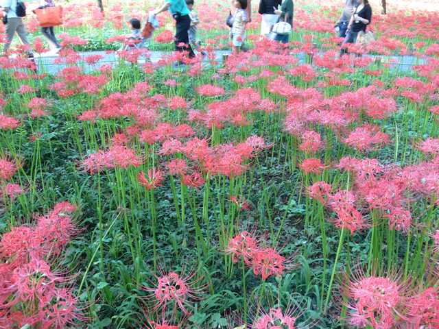 P1000039.JPG