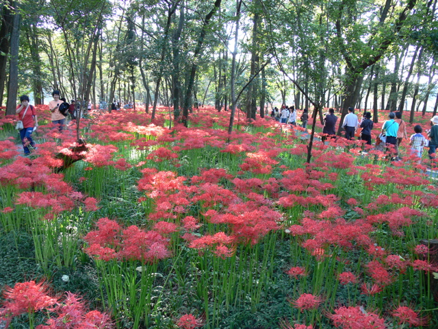 P1000040.JPG