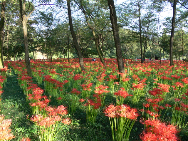 P1000044.JPG