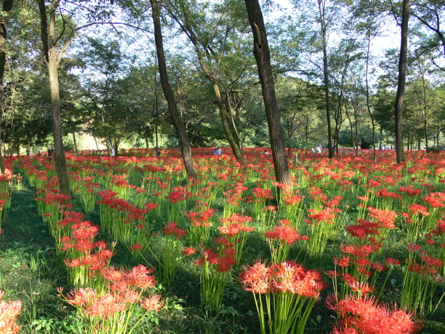 P1000045.JPG