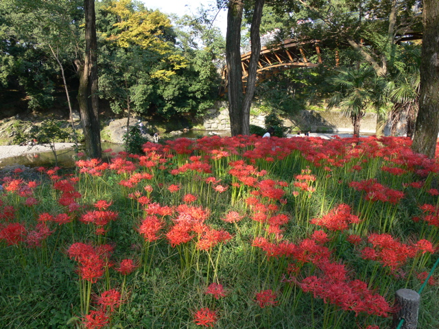 P1000055.JPG