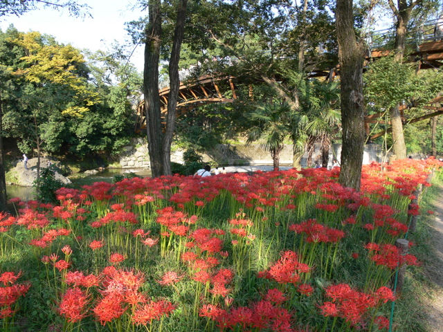 P1000056.JPG