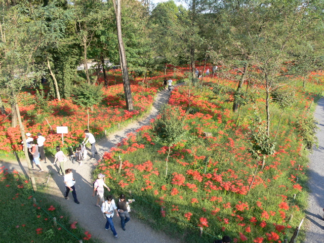 P1000058.JPG