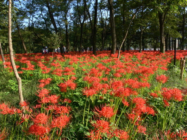 P1000064.JPG