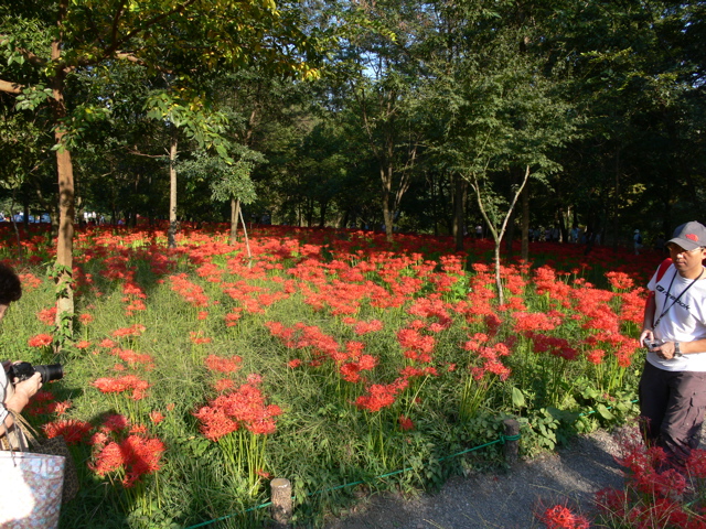P1000073.JPG