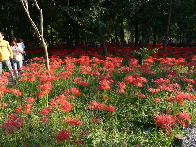 P1000074.JPG