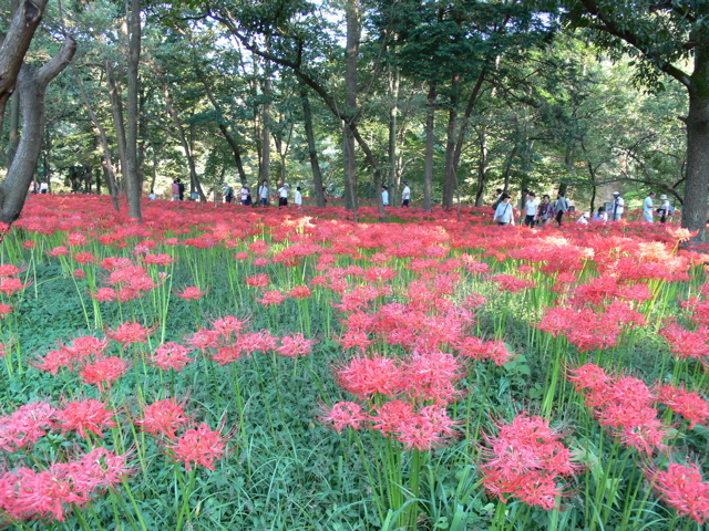 P1000076.JPG