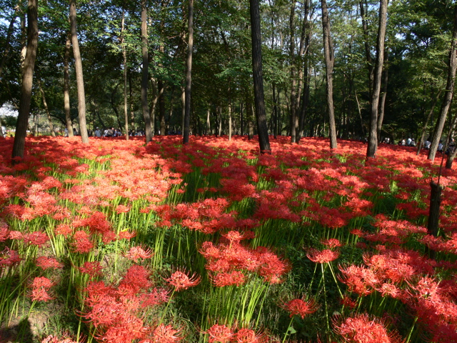P1000014.JPG