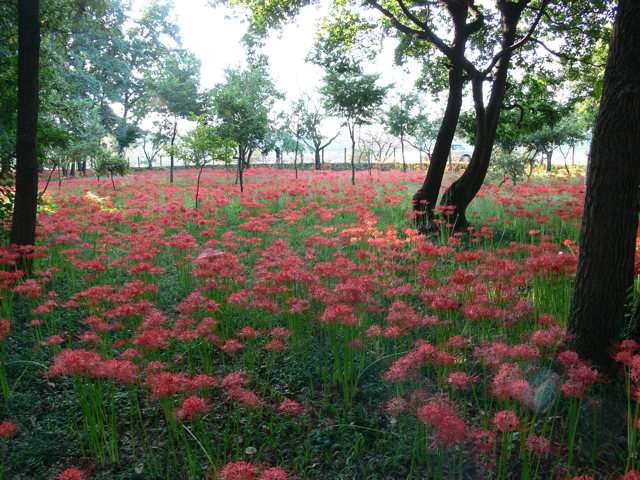 P1000079.JPG
