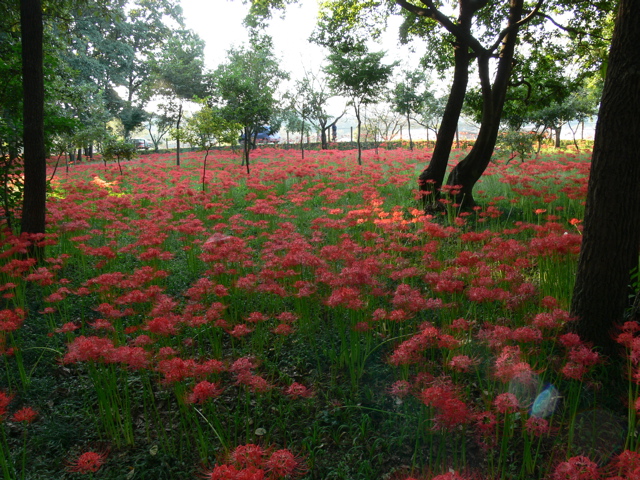 P1000080.JPG