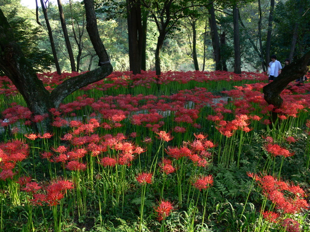 P1000082.JPG