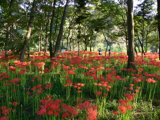 P1000083.JPG