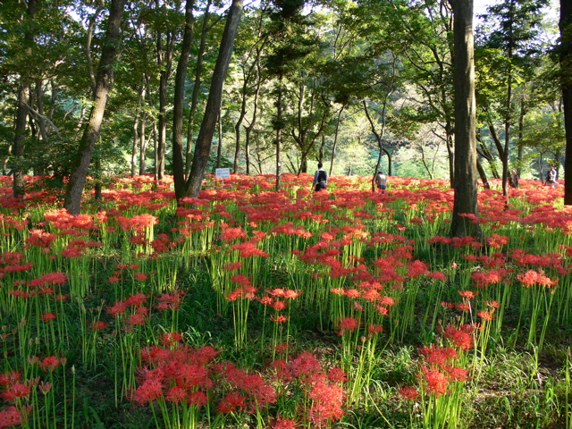 P1000084.JPG