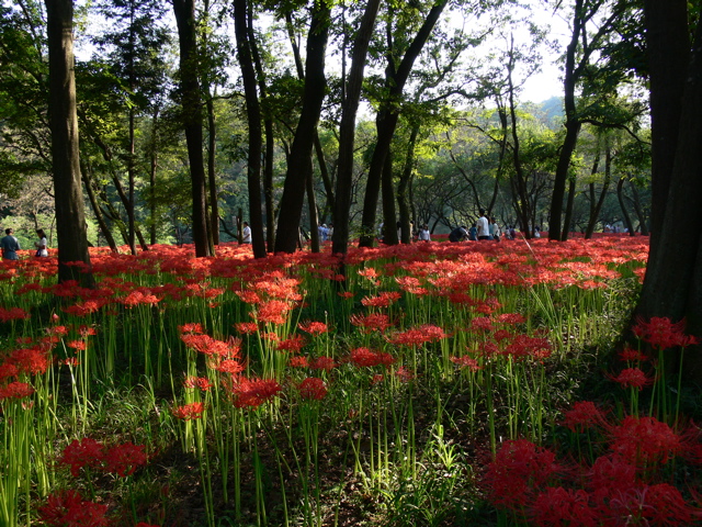 P1000087.JPG