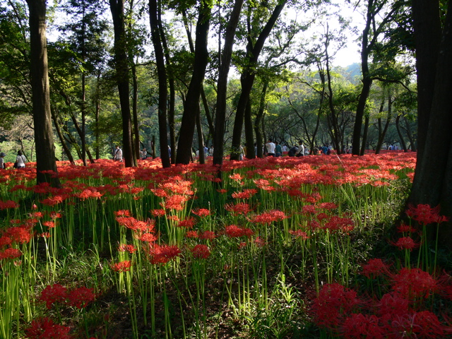 P1000088.JPG