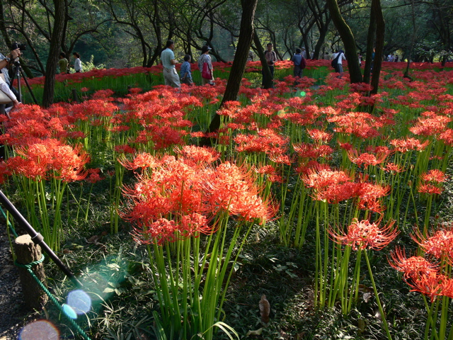 P1000089.JPG