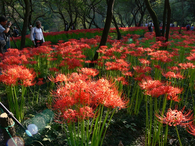 P1000091.JPG