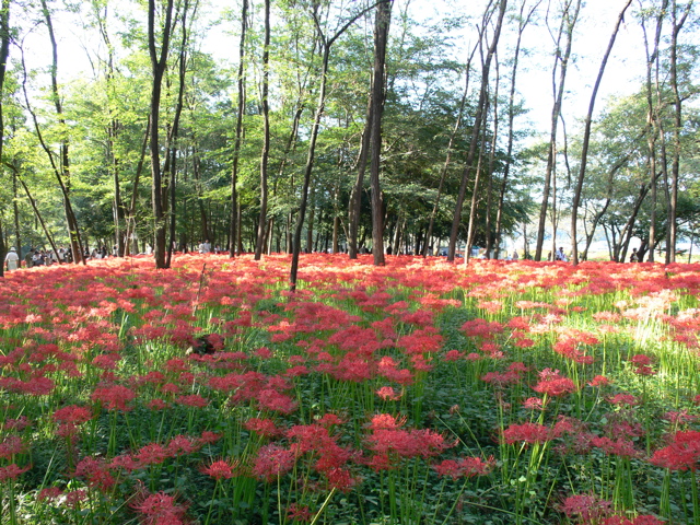 P1000016.JPG