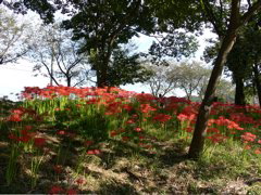 P1000007.JPG