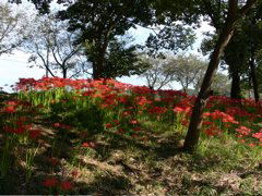 P1000008.JPG