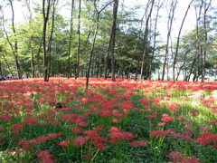 P1000017.JPG