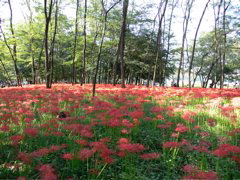 P1000018.JPG