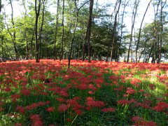 P1000019.JPG