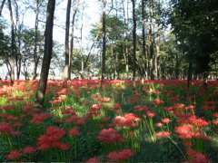 P1000020.JPG