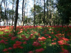 P1000021.JPG