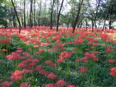 P1000022.JPG