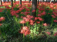 P1000024.JPG