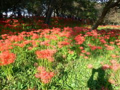 P1000027.JPG