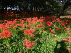 P1000028.JPG