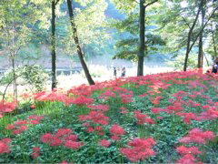 P1000030.JPG