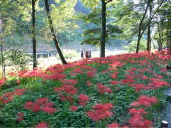 P1000031.JPG