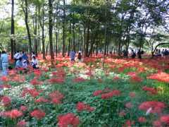 P1000032.JPG