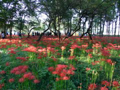 P1000033.JPG
