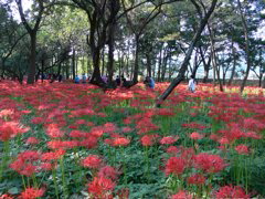 P1000036.JPG