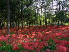 P1000010.JPG