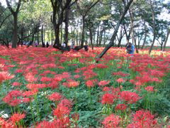 P1000037.JPG