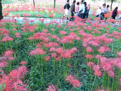 P1000038.JPG